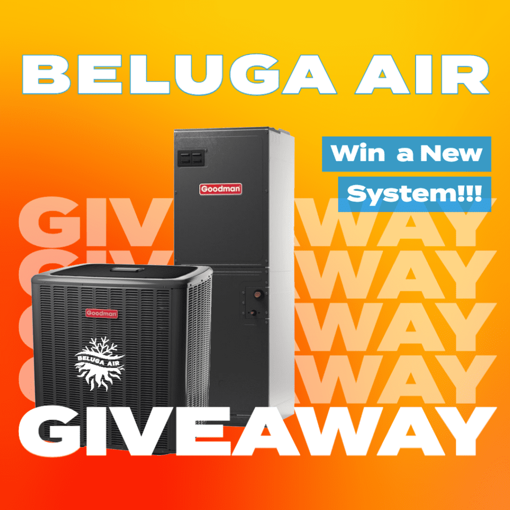 Beluga Air Win a New System