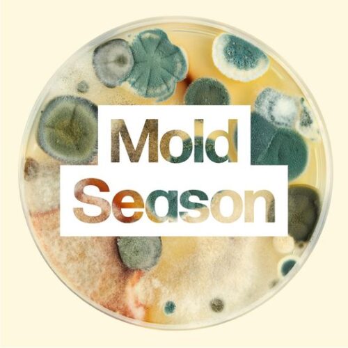 Mold Season